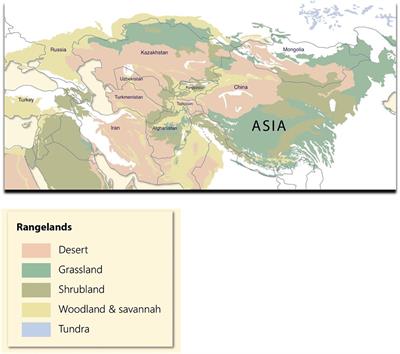 Pastoralism at Scale on the Kazakh Rangelands: From Clans to Workers to Ranchers